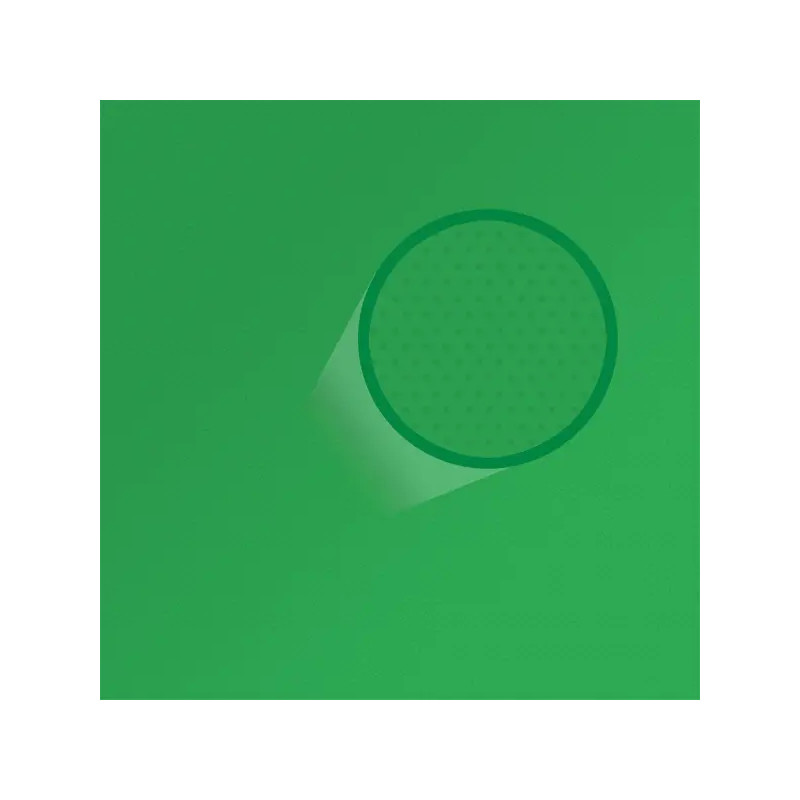 Zestaw ProSetup™ 8x85W LED Green Screen studio