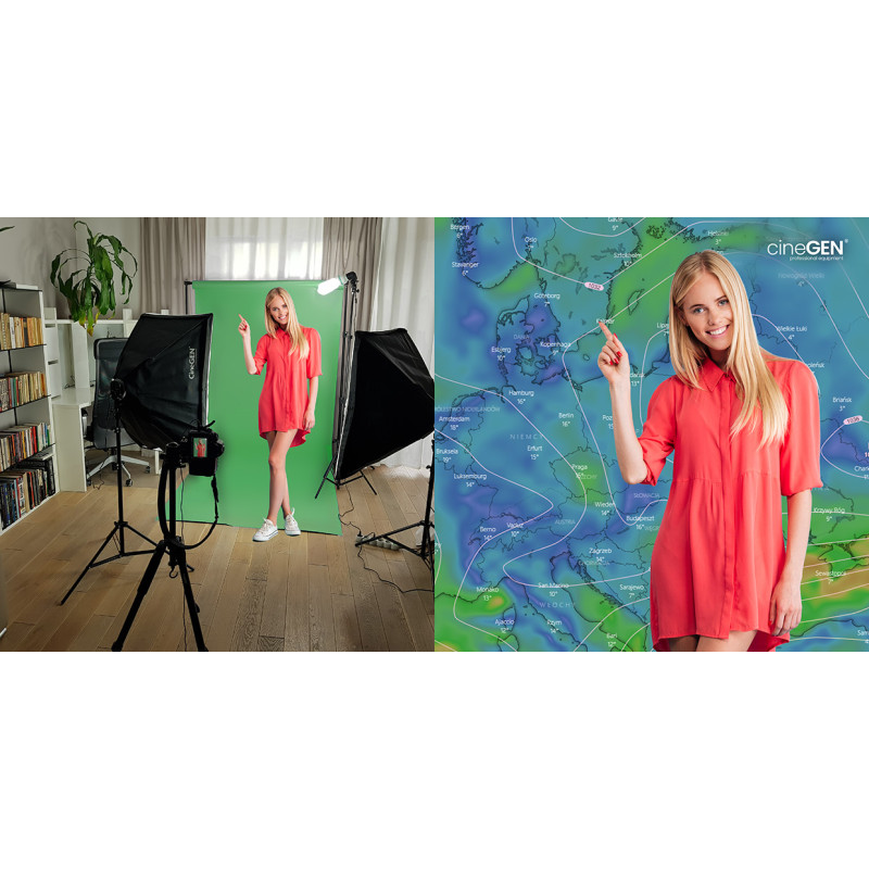 Zestaw DELUXStudio GreenScreen 8x125W 40x40cm