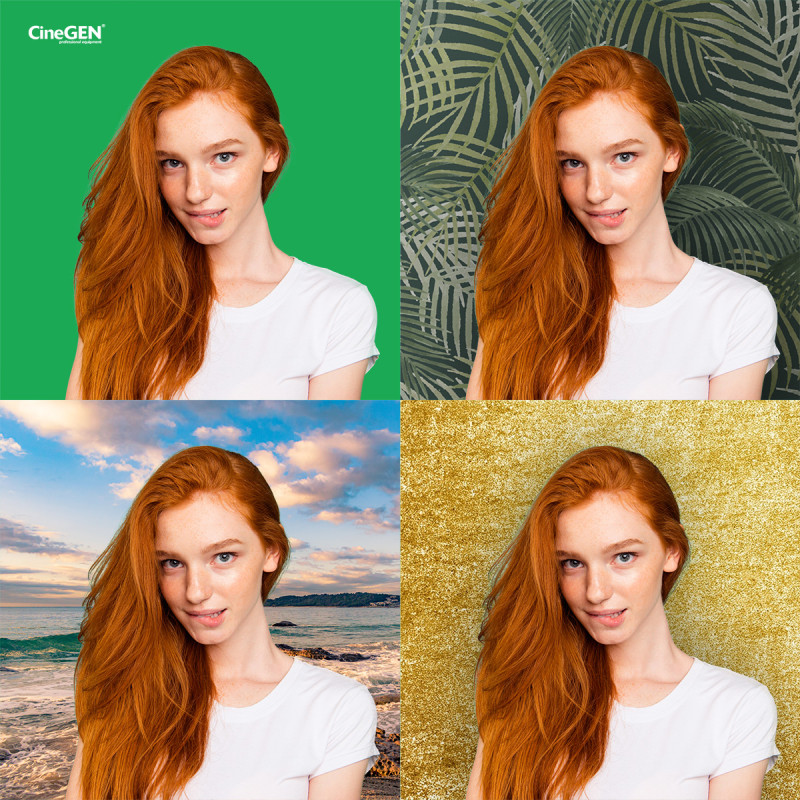 Zestaw DELUXStudio GreenScreen 8x65W 60x90cm