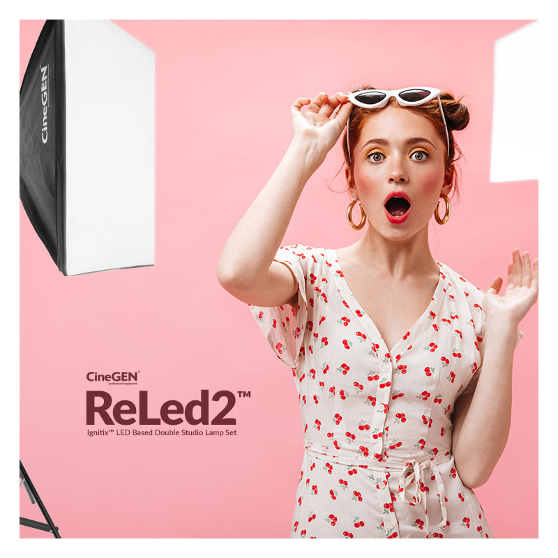 ReLed2 Double LED Kit with Softboxes 40x60