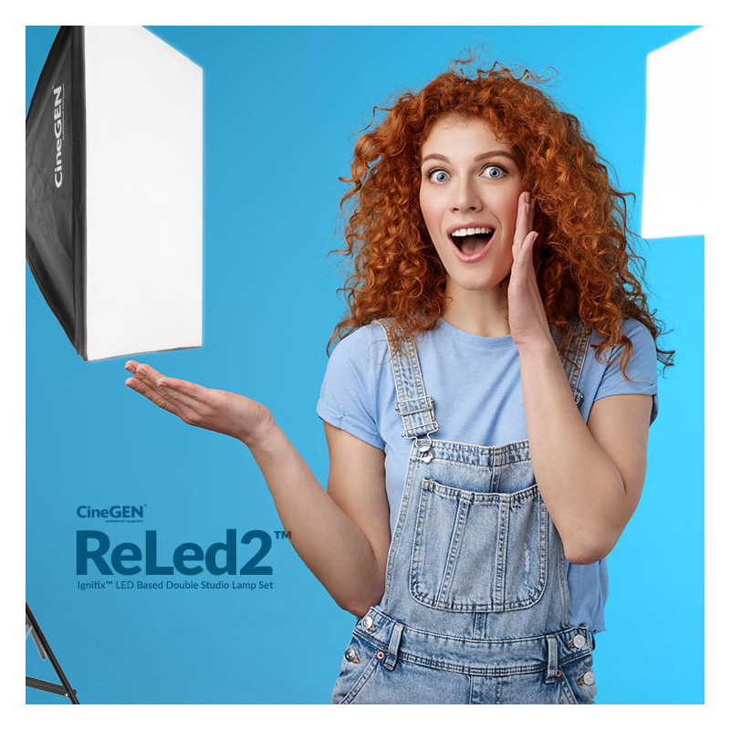 ReLed2 Double LED Kit with Softboxes 40x60