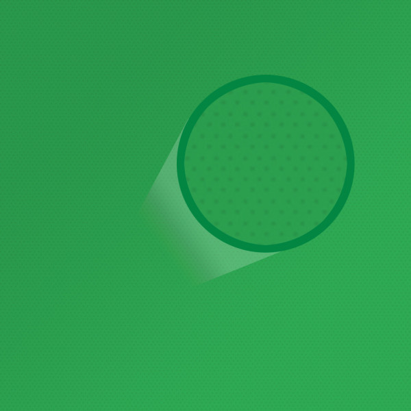 Zestaw SympleXstudio GreenScreen 2x85W octa 60
