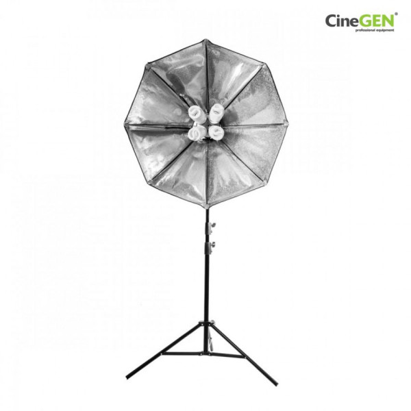 WhitePro Zestaw 2x Softbox Octa 60cm 8x65W + statywy