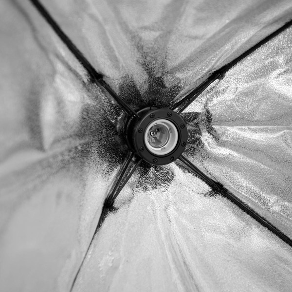 Softbox 50x50 125W with Tripod CGLS-802 | FlatLight