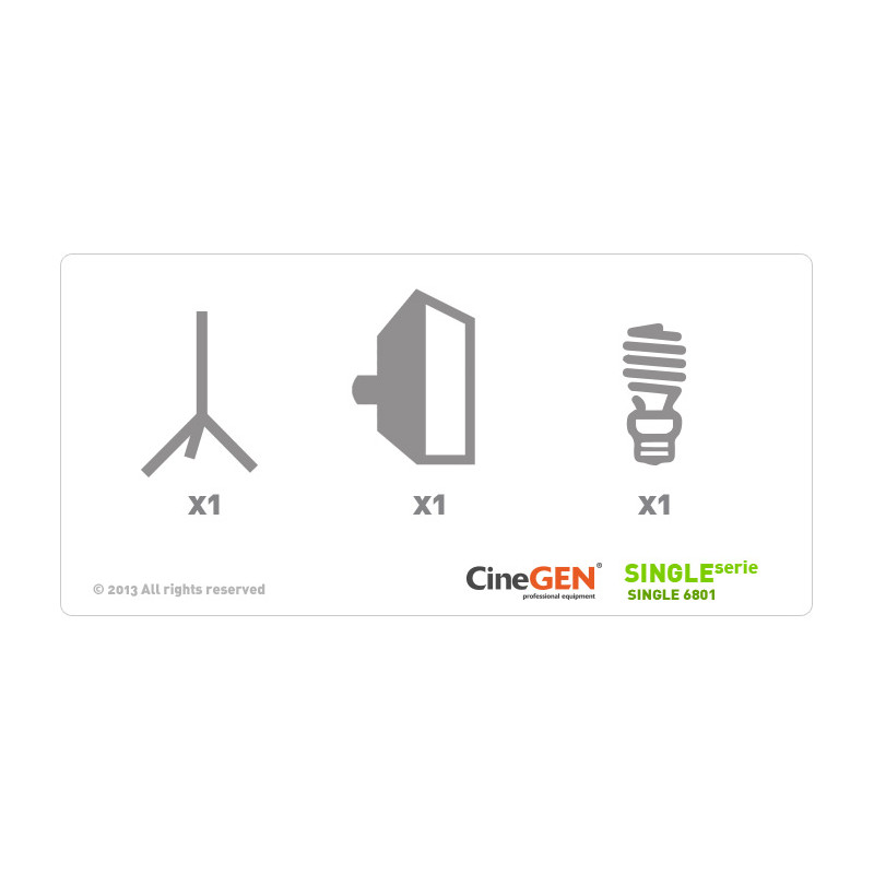 Lampa Softbox 60x60 85W z statywem CGLS-801